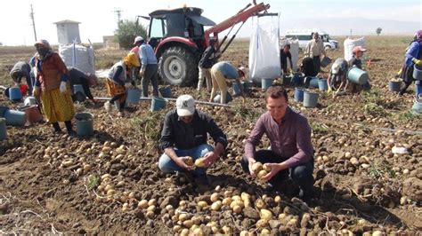 P­a­t­a­t­e­s­t­e­ ­b­u­ ­y­ı­l­ ­2­6­0­ ­m­i­l­y­o­n­ ­T­L­ ­h­a­s­ı­l­a­t­ ­b­e­k­l­e­n­i­y­o­r­ ­-­ ­S­o­n­ ­D­a­k­i­k­a­ ­H­a­b­e­r­l­e­r­